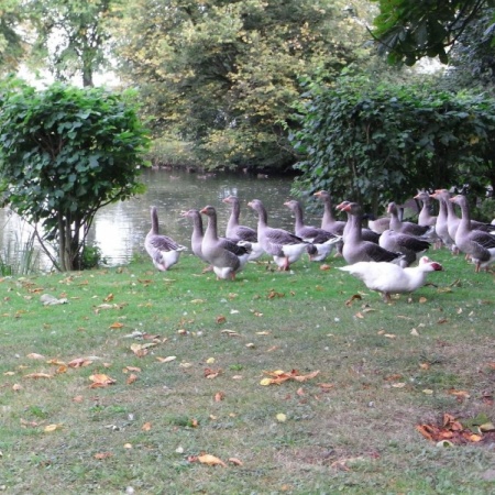 Größeres Bild ansehen