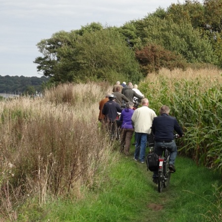 Größeres Bild ansehen