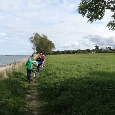 Größeres Bild ansehen