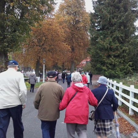 Größeres Bild ansehen