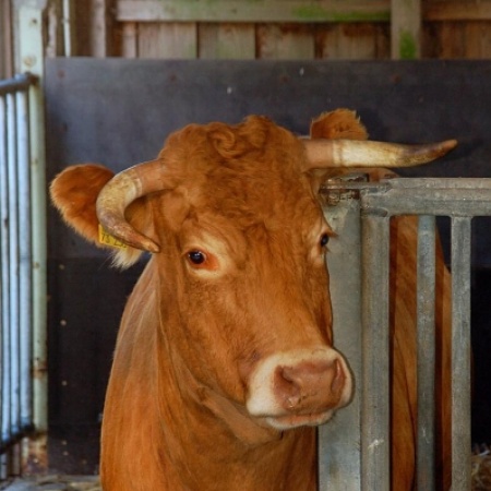 Größeres Bild ansehen